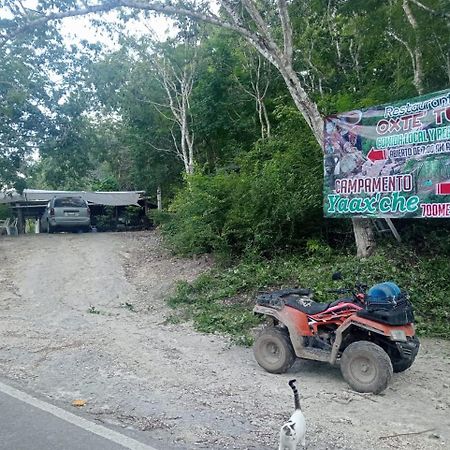 Campamento Yaax Che En Calakmul Conhuas Exterior photo