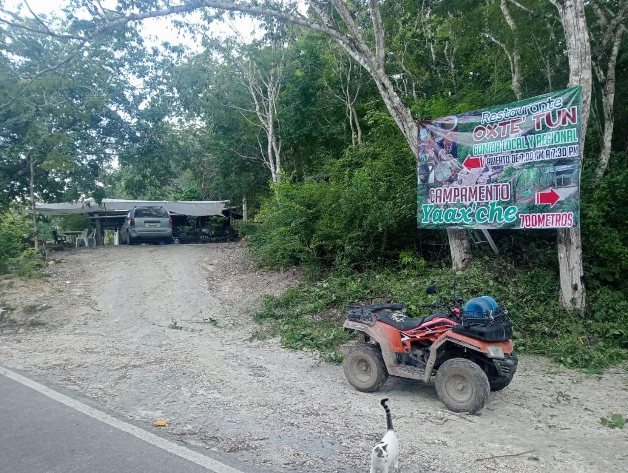 Campamento Yaax Che En Calakmul Conhuas Exterior photo