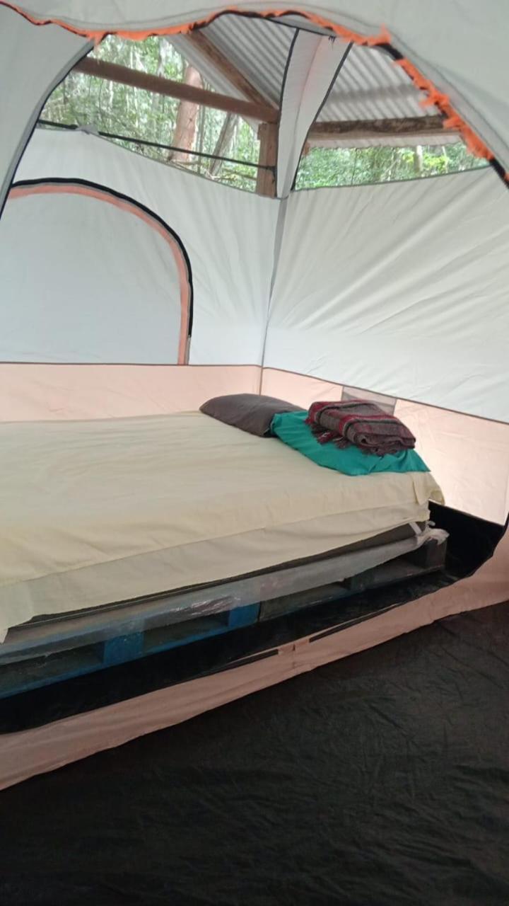 Campamento Yaax Che En Calakmul Conhuas Room photo