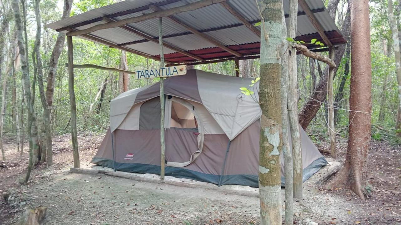 Campamento Yaax Che En Calakmul Conhuas Room photo