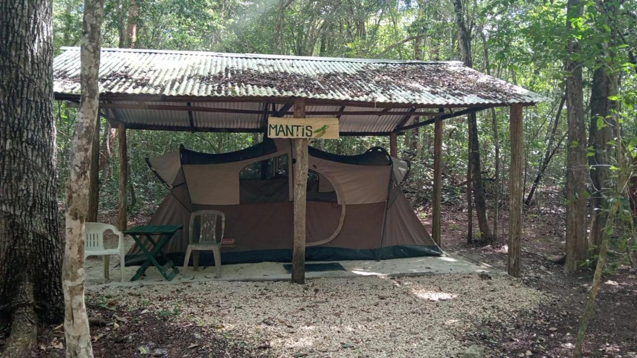 Campamento Yaax Che En Calakmul Conhuas Room photo