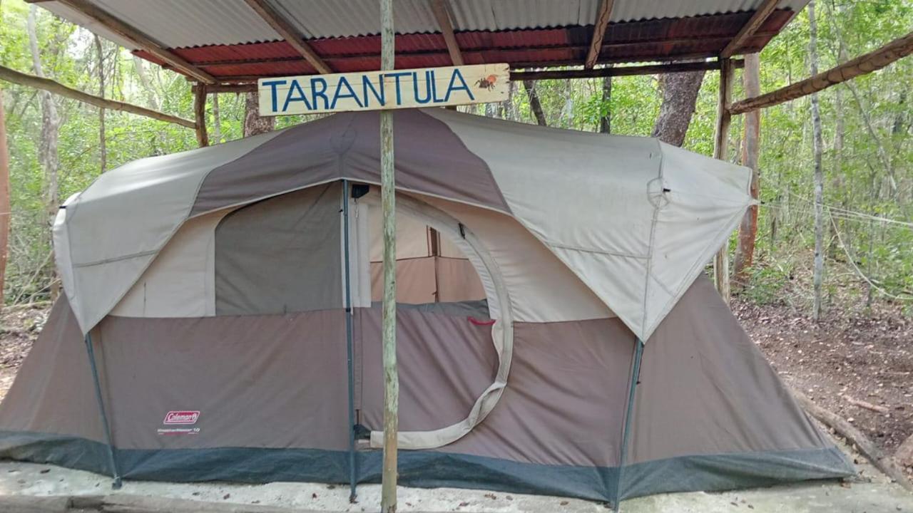 Campamento Yaax Che En Calakmul Conhuas Exterior photo