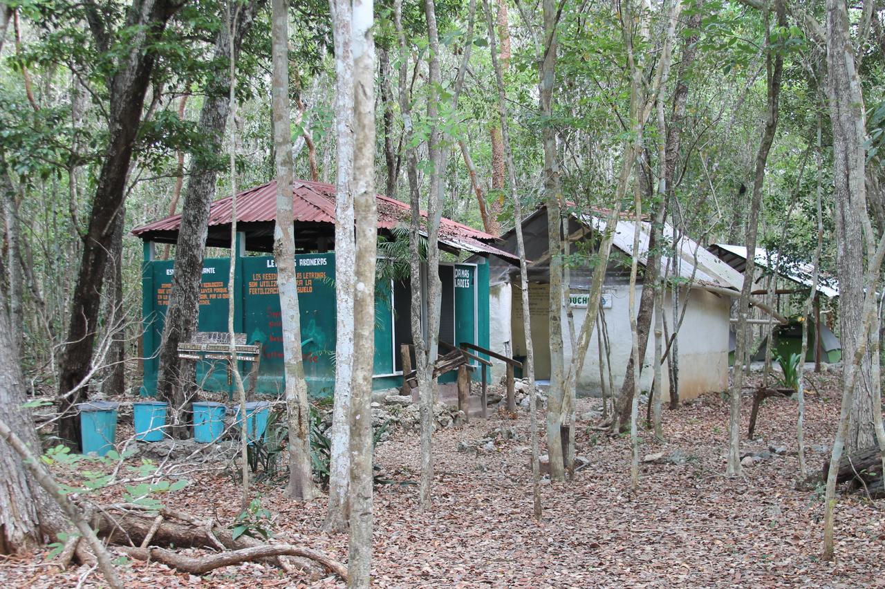 Campamento Yaax Che En Calakmul Conhuas Exterior photo